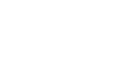 SSIP logo